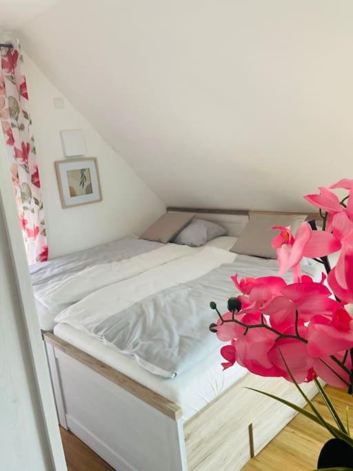Apartment Scholle Steinbeck Recke Exteriér fotografie